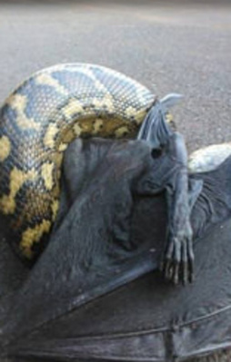 Yolun ortasında ölümüne kapıştılar!