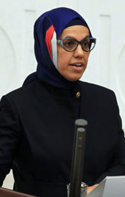 Haddini bil Aydın Doğan