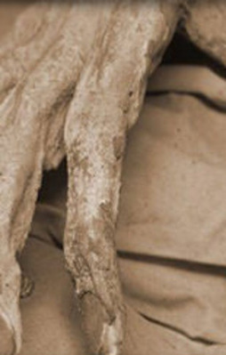 Öldükten sonra bedenimize bakın ne oluyor!