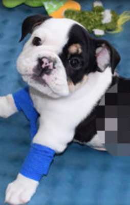 Onun öyle bir hikayesi var ki...