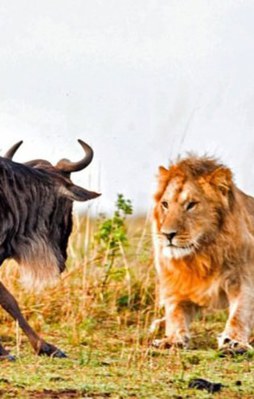 Sadece 60 saniye sürdü!