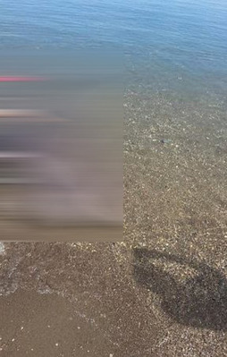 Marmara Deniz'inde köpek balığı yakalandı