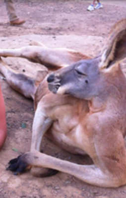 Yaptıklarını görünce çok şaşıracaksınız!