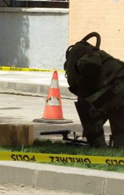 Varto'da tuzaklanmış bomba imha edildi