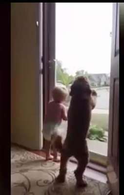 Sevimli ikili böyle çıldırdı