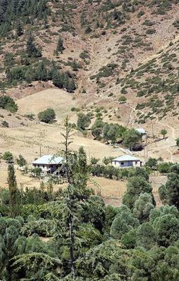 Adana'da gizemli ceset