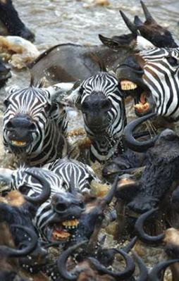 Ölüme böyle meydan okuyorlar!