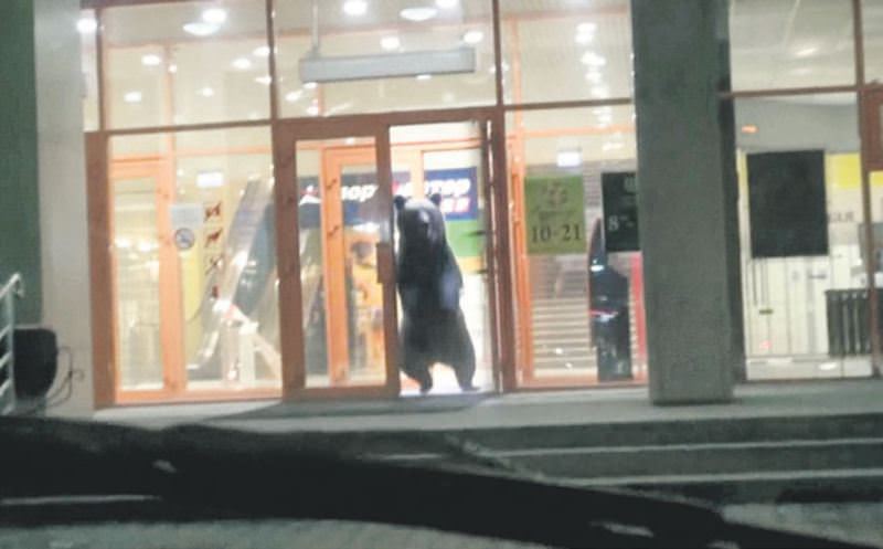 Ayışveriş merkezi