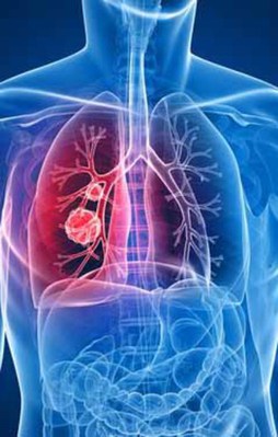 Bunları tüketin ciğerleriniz tertemiz olsun