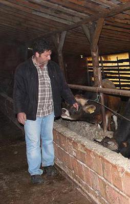 Köylülerin 'ayı' tedirginliği