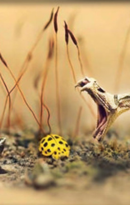 Avını saniyeyle yakaladı!