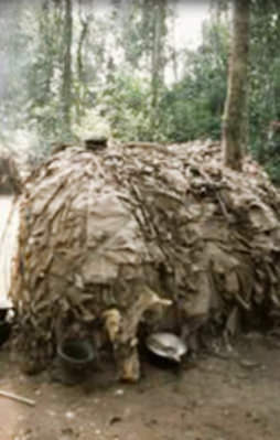 Bu kabilenin öyle bir özelliği var ki...