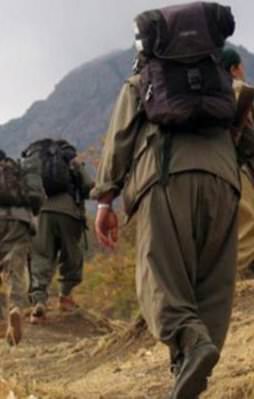 Almanya'da terör örgütü PKK'ya büyük darbe