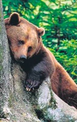 Hakkında yakalama kararı çıktı