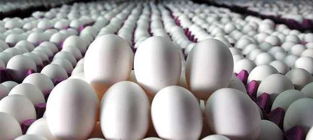 Yumurta fiyatlarında artış