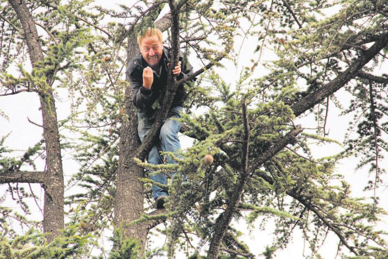 İşsiz adam ağaca çıktı