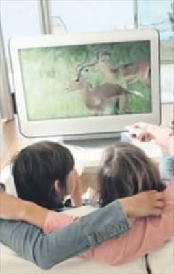 Elektriğe yüzde 15-20 indirim