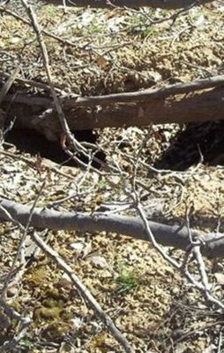 PKK sığınağı yok edildi