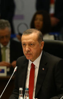 Cumhurbaşkanı Erdoğan G-20 Zirvesi'nde konuştu