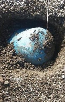 Ankara'da 100 kilogram patlayıcıyı bulundu