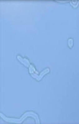 Ufkunuzu açacak enteresan bilgiler