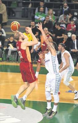 Aslan parçaları Daçka'yı avladı