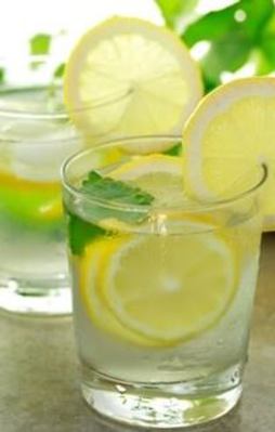 Ruslar limona ambargo koyamadı!