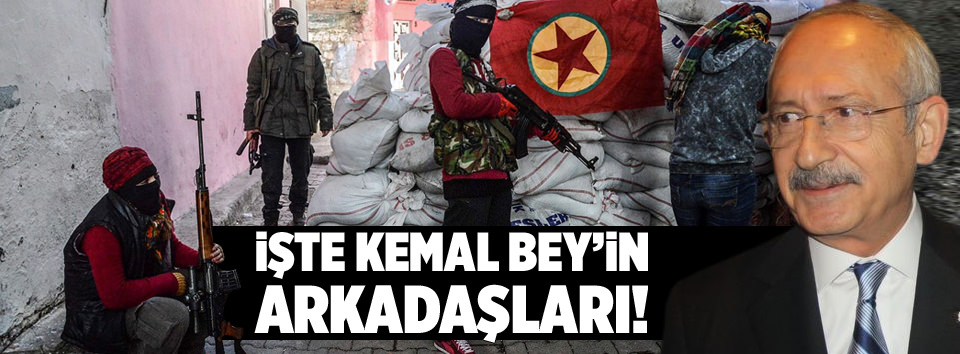 Demirtaş'tan hendek mesajı-1
