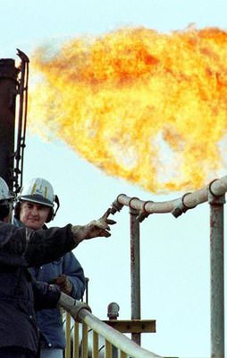 "Rusya doğalgazı kesemez"