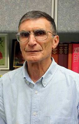 "Allah Erdoğan'dan razı olsun"