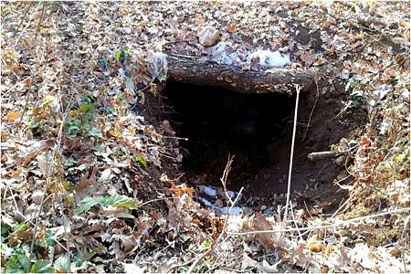 Tunceli'de PKK'ya ağır darbe-2