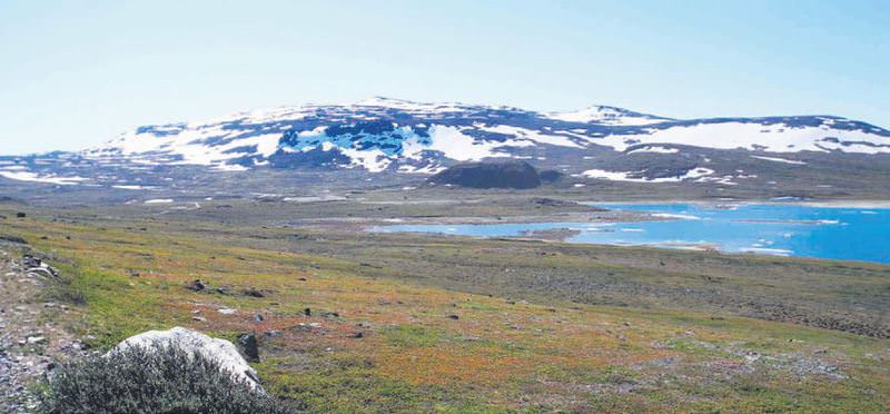 Norveç'ten al tepe tepe kullan