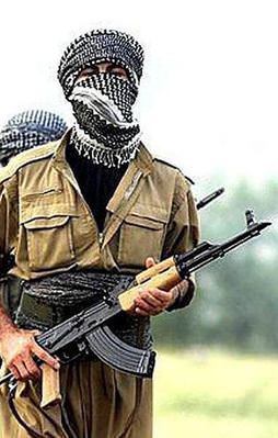 PKK'lılar Dargeçit'te ev taradı