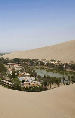 Çölün ortasında muhteşem yaşam