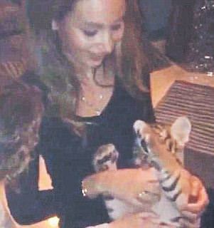 Persie'nin kaplan aşkı-2