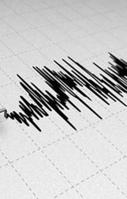20 dakika aralıkla iki deprem