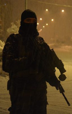 Şırnak'ta 2 terörist öldürüldü