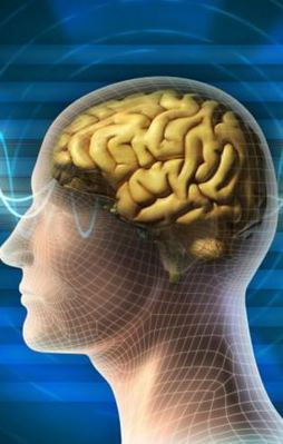 Bu yiyecekler insanları aptallaştırıyor!