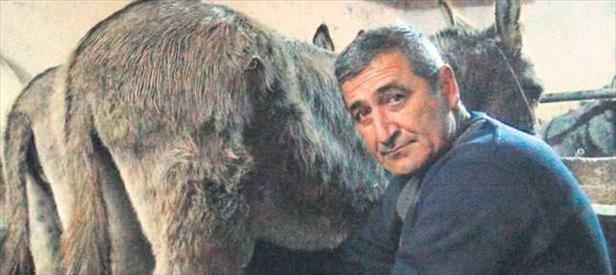 Eşek sütünün kilosunu 80 liradan satıyor