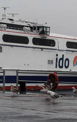 İDO ve BUDO'dan sefer iptalleri