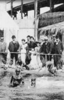 Batı'nın büyük utancı: İnsanat bahçesi