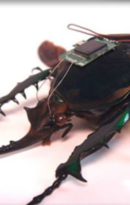 İşte sizi dehşete düşürecek savaş teknolojisi!