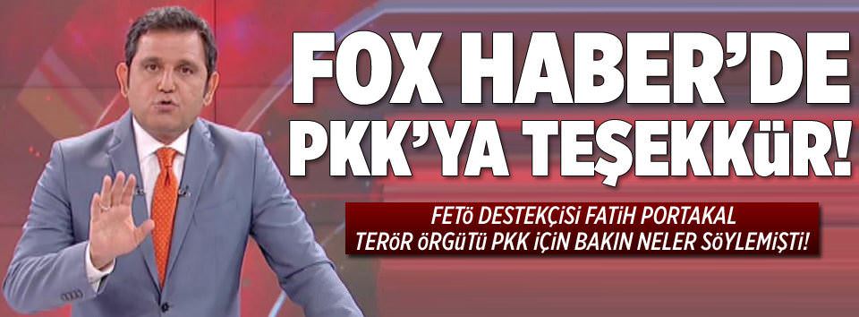 TeleFOX kılıfı!-12
