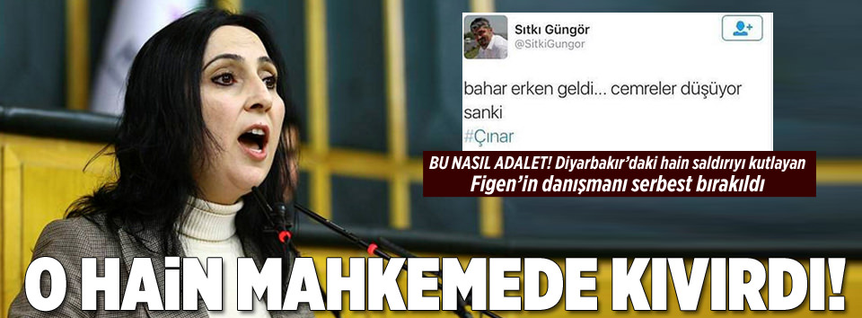 Figen’in danışmanı serbest bırakıldı!