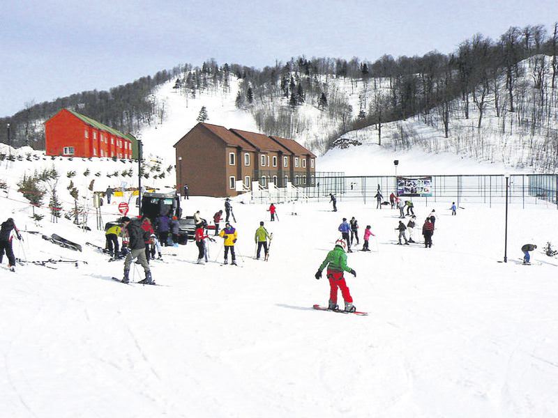 Kâr sevinci