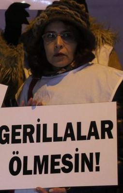PKK sevici dernekten "Gerillalar ölmesin" eylemi