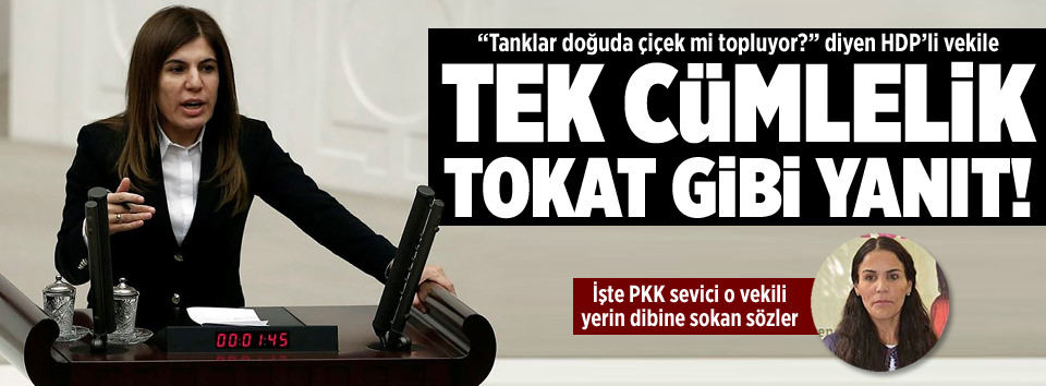 HDP’li vekile tokat gibi yanıt