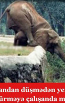 İşte Azerice caps çılgınlığı!