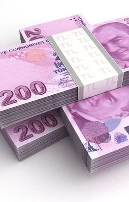 Hangi ilin ne kadar borcu var?