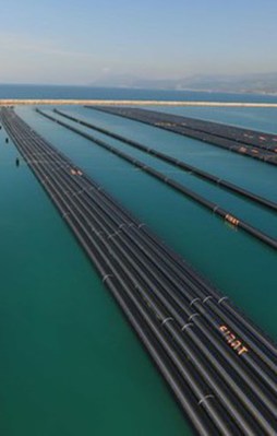 Asrın projesinde kritik gün yarın